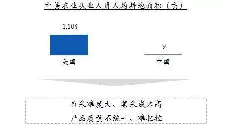 生鲜电商直采