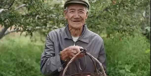 新零售模式水果店案例