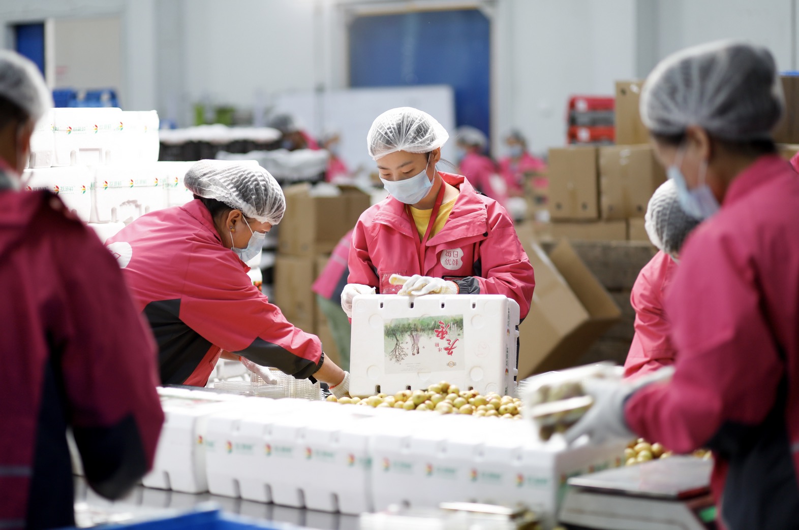 每日优鲜前置仓模式